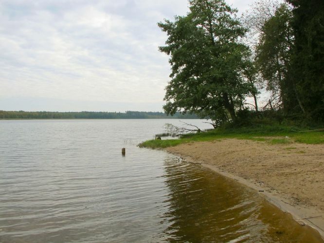 Maakond: Valgamaa Veekogu nimi: Aheru järv Pildistamise aeg: 13. september 2010 Pildistaja: H. Timm Pildistamise koht: Oore Asimuut: