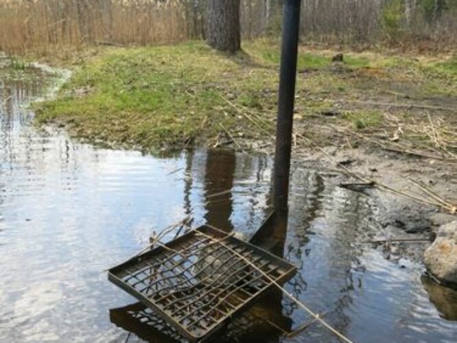 Maakond: Valgamaa Veekogu nimi: Aheru järv Pildistamise aeg: 7. mai 2013 Pildistaja: H. Timm Pildistamise koht: teadmata Asimuut: