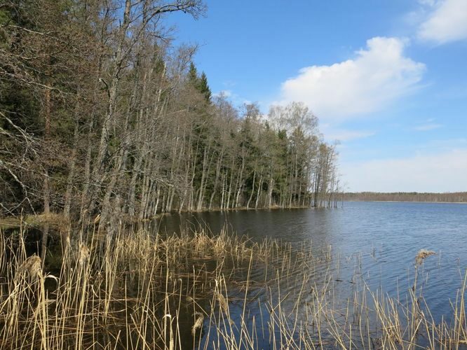 Maakond: Valgamaa Veekogu nimi: Aheru järv Pildistamise aeg: 7. mai 2013 Pildistaja: H. Timm Pildistamise koht: teadmata Asimuut: