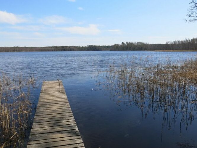 Maakond: Valgamaa Veekogu nimi: Aheru järv Pildistamise aeg: 7. mai 2013 Pildistaja: H. Timm Pildistamise koht: teadmata Asimuut: