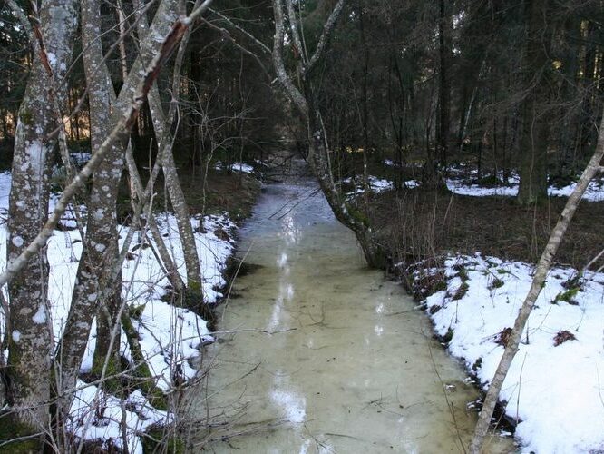 Maakond: Tartumaa Veekogu nimi: Ahtmiku peakraav Pildistamise aeg: 11. märts 2007 Pildistaja: H. Timm Pildistamise koht: vana säng Vidriku tee all Asimuut: