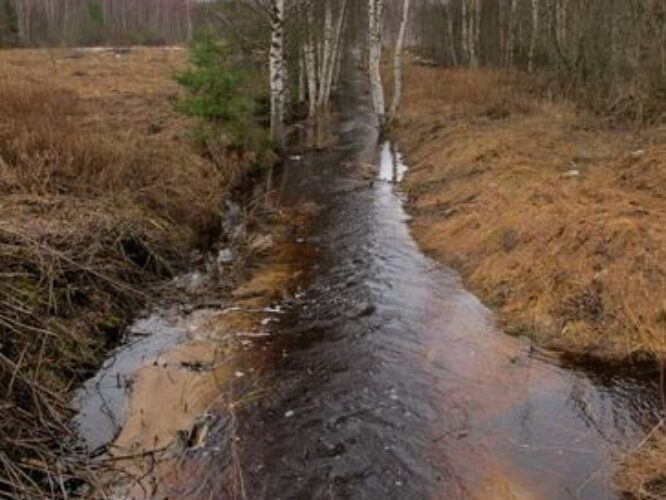 Maakond: Tartumaa Veekogu nimi: Ahtmiku peakraav Pildistamise aeg: 4. aprill 2010 Pildistaja: H. Timm Pildistamise koht: Valguta - Rannaküla teelt Asimuut: