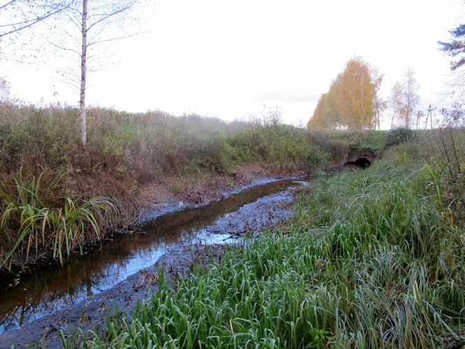 Maakond: Tartumaa Veekogu nimi: Ahtmiku peakraav Pildistamise aeg: 16. oktoober 2011 Pildistaja: H. Timm Pildistamise koht: alamjooks Asimuut: