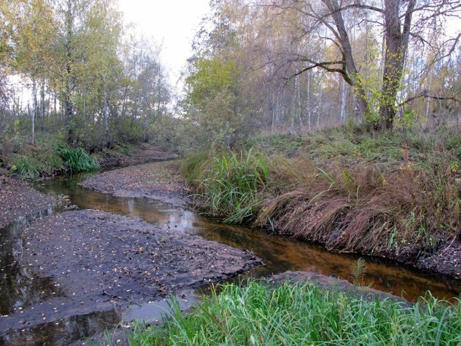 Maakond: Tartumaa Veekogu nimi: Ahtmiku peakraav Pildistamise aeg: 16. oktoober 2011 Pildistaja: H. Timm Pildistamise koht: alamjooks Asimuut: