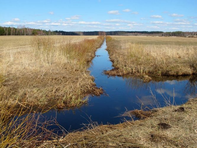 Maakond: Tartumaa Veekogu nimi: Ahtmiku pkr. Pildistamise aeg: 15. aprill 2012 Pildistaja: H. Timm Pildistamise koht: poldril Asimuut: