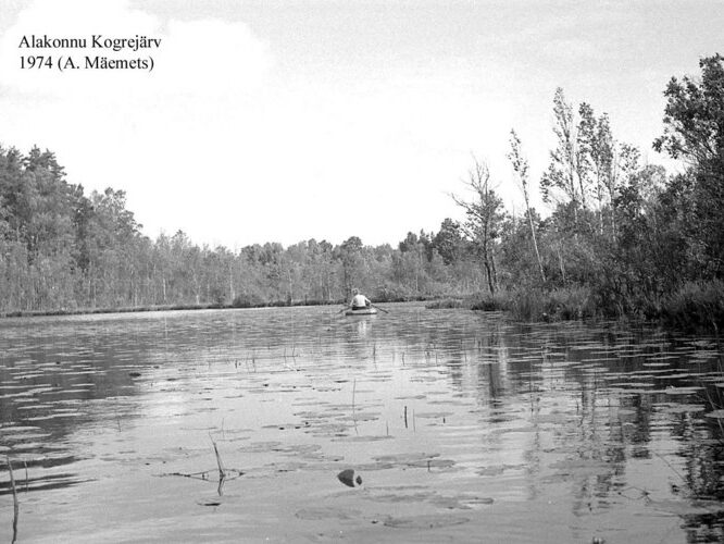 Maakond: Valgamaa Veekogu nimi: Alakonnu Pildistamise aeg: 1974 Pildistaja: A. Mäemets Pildistamise koht: teadmata Asimuut: