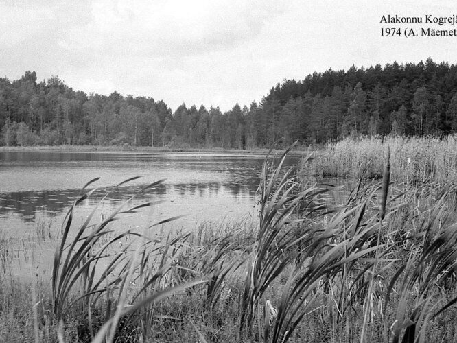 Maakond: Valgamaa Veekogu nimi: Alakonnu Pildistamise aeg: 1974 Pildistaja: A. Mäemets Pildistamise koht: teadmata Asimuut: