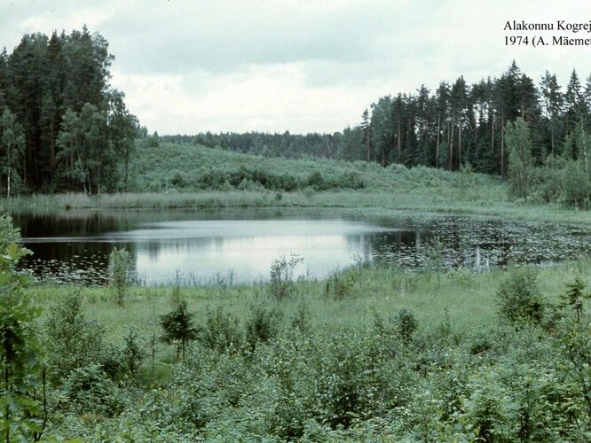 Maakond: Valgamaa Veekogu nimi: Alakonnu Pildistamise aeg: 1974 Pildistaja: A. Mäemets Pildistamise koht: teadmata Asimuut: