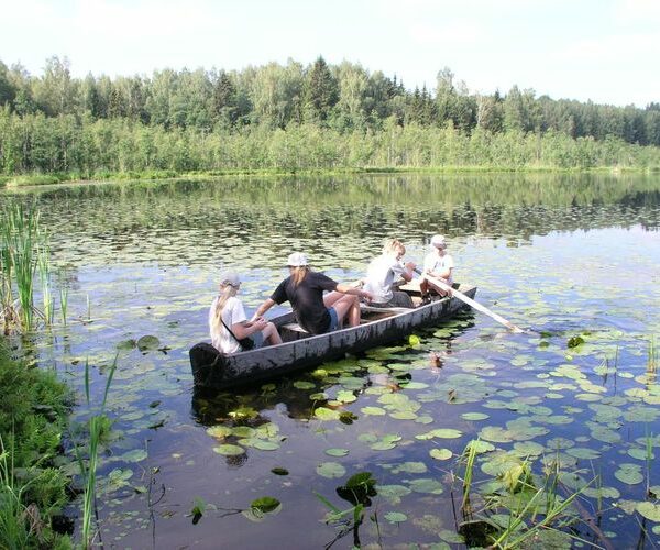 Maakond: Valgamaa Veekogu nimi: Alakonnu järv Pildistamise aeg: 4. august 2006 Pildistaja: H. Timm Pildistamise koht: teadmata Asimuut: