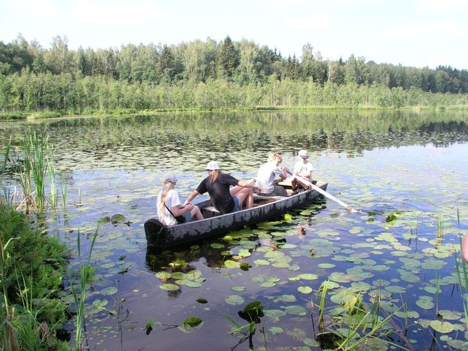 Maakond: Valgamaa Veekogu nimi: Alakonnu järv Pildistamise aeg: 4. august 2006 Pildistaja: H. Timm Pildistamise koht: teadmata Asimuut: