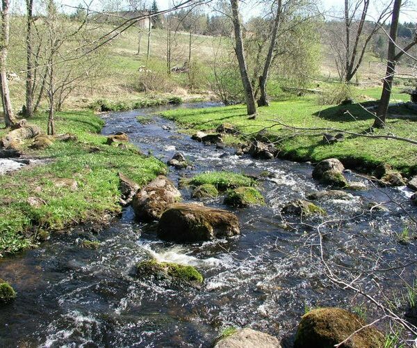 Maakond: Tartumaa Veekogu nimi: Alatskivi jõgi Pildistamise aeg: 3. mai 2009 Pildistaja: H. Timm Pildistamise koht: Peatskivi Asimuut: