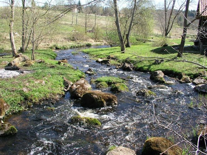 Maakond: Tartumaa Veekogu nimi: Alatskivi jõgi Pildistamise aeg: 3. mai 2009 Pildistaja: H. Timm Pildistamise koht: Peatskivi Asimuut: