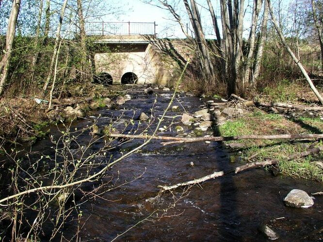 Maakond: Tartumaa Veekogu nimi: Alatskivi jõgi Pildistamise aeg: 3. mai 2009 Pildistaja: H. Timm Pildistamise koht: paisu all Asimuut: