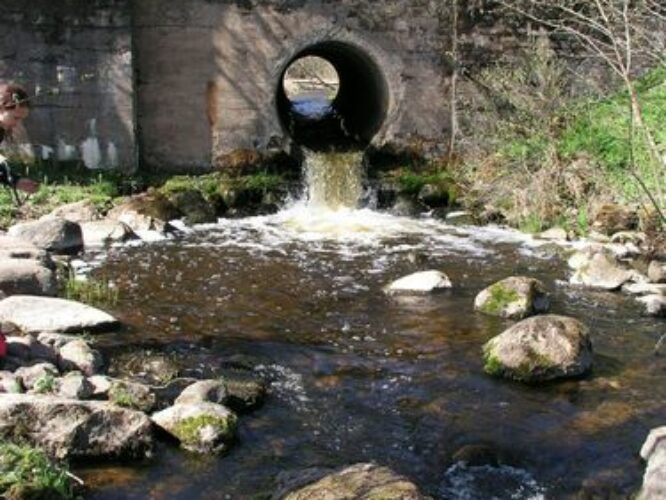 Maakond: Tartumaa Veekogu nimi: Alatskivi jõgi Pildistamise aeg: 3. mai 2009 Pildistaja: H. Timm Pildistamise koht: Peatskivi Asimuut: