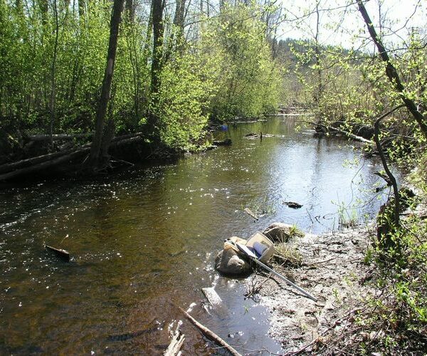 Maakond: Tartumaa Veekogu nimi: Alatskivi jõgi Pildistamise aeg: 3. mai 2009 Pildistaja: H. Timm Pildistamise koht: paisu all Asimuut: