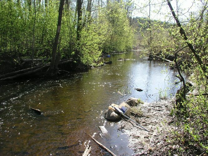 Maakond: Tartumaa Veekogu nimi: Alatskivi jõgi Pildistamise aeg: 3. mai 2009 Pildistaja: H. Timm Pildistamise koht: paisu all Asimuut: