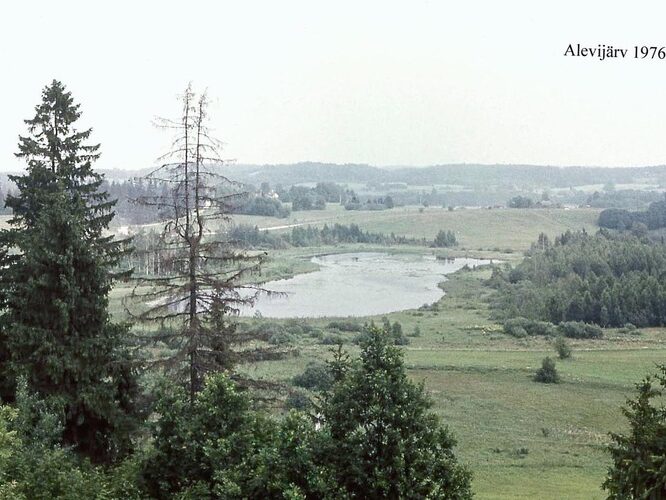 Maakond: Valgamaa Veekogu nimi: Alevijärv Pildistamise aeg: 1976 Pildistaja: A. Mäemets Pildistamise koht: teadmata Asimuut: