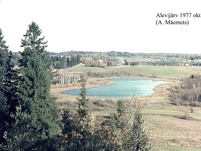 Maakond: Valgamaa Veekogu nimi: Alevijärv Pildistamise aeg: oktoober 1977 Pildistaja: A. Mäemets Pildistamise koht: teadmata Asimuut: