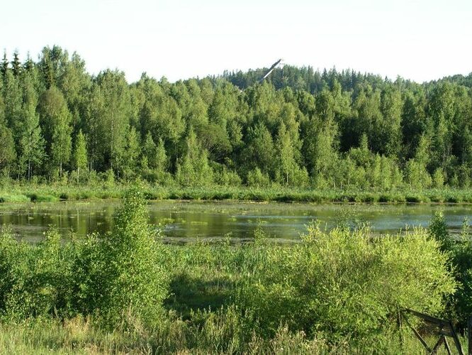 Maakond: Tartumaa Veekogu nimi: Alevijärv Pildistamise aeg: 7. august 2006 Pildistaja: H. Timm Pildistamise koht: teadmata Asimuut: