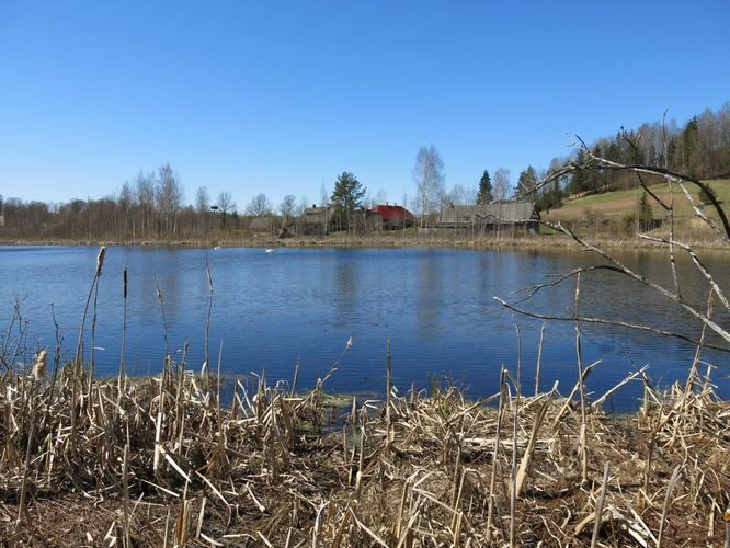 Maakond: Valgamaa Veekogu nimi: Alevijärv Pildistamise aeg: 6. mai 2013 Pildistaja: H. Timm Pildistamise koht: teadmata Asimuut: