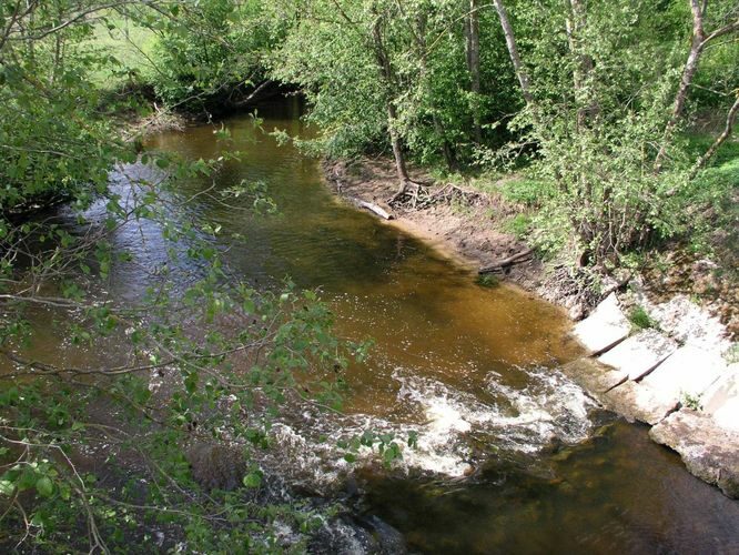 Maakond: Tartumaa Veekogu nimi: Amme jõgi Pildistamise aeg: 26. mai 2004 Pildistaja: H. Timm Pildistamise koht: Kauda Asimuut: