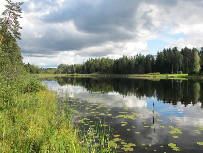 Maakond: Valgamaa Veekogu nimi: Andresjärv Pildistamise aeg: 4. september 2012 Pildistaja: H. Timm Pildistamise koht: teadmata Asimuut: