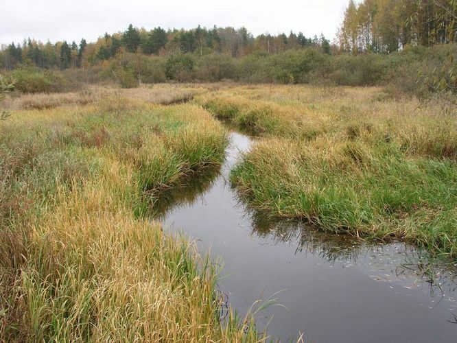 Maakond: Tartumaa Veekogu nimi: Apna jõgi Pildistamise aeg: 4. oktoober 2003 Pildistaja: H. Timm Pildistamise koht: Ahunapalu sillalt Asimuut: