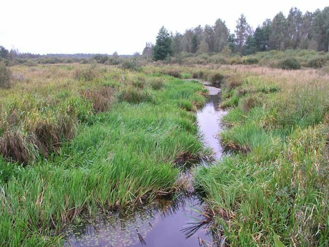 Maakond: Tartumaa Veekogu nimi: Apna jõgi Pildistamise aeg: 25. september 2004 Pildistaja: H. Timm Pildistamise koht: Ahunapalu Asimuut: