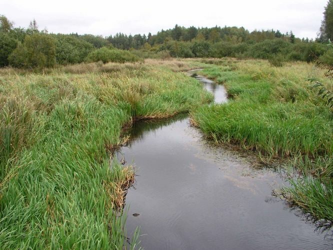 Maakond: Tartumaa Veekogu nimi: Apna jõgi Pildistamise aeg: 25. september 2004 Pildistaja: H. Timm Pildistamise koht: Ahunapalu Asimuut: