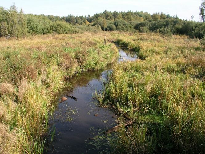 Maakond: Tartumaa Veekogu nimi: Apna jõgi Pildistamise aeg: 23. september 2006 Pildistaja: H. Timm Pildistamise koht: teadmata Asimuut: