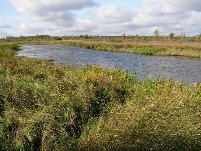 Maakond: Tartumaa Veekogu nimi: Apna jõgi Pildistamise aeg: 23. september 2007 Pildistaja: H. Timm Pildistamise koht: sillalt Asimuut: