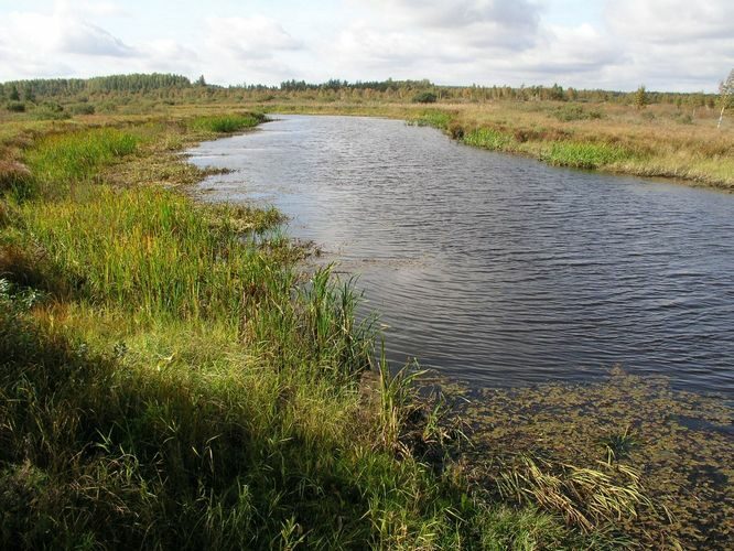 Maakond: Tartumaa Veekogu nimi: Apna jõgi Pildistamise aeg: 23. september 2007 Pildistaja: H. Timm Pildistamise koht: sillalt Asimuut: