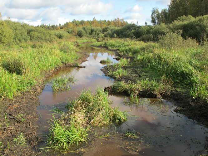 Maakond: Tartumaa Veekogu nimi: Apna jõgi Pildistamise aeg: 24. september 2011 Pildistaja: H. Timm Pildistamise koht: alamjooksu sild Asimuut: