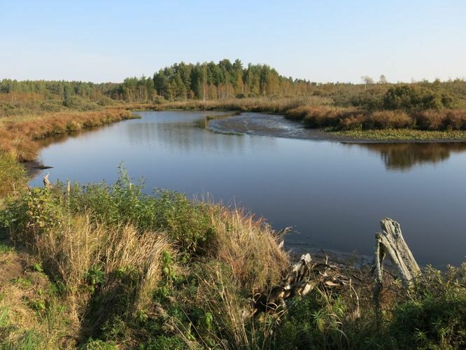 Maakond: Tartumaa Veekogu nimi: Apna jõgi Pildistamise aeg: 21. september 2014 Pildistaja: H. Timm Pildistamise koht: Apnassaare sillalt Asimuut: