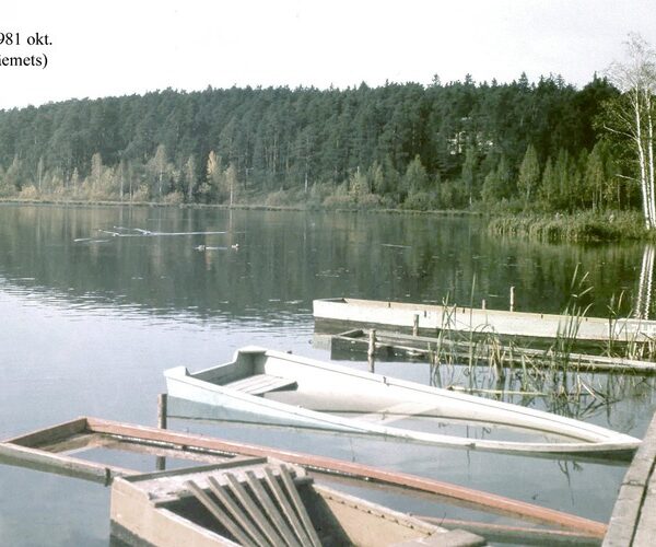 Maakond: Tartumaa Veekogu nimi: Arbi järv Pildistamise aeg: oktoober 1981 Pildistaja: A. Mäemets Pildistamise koht: SE nurgast Asimuut: NW