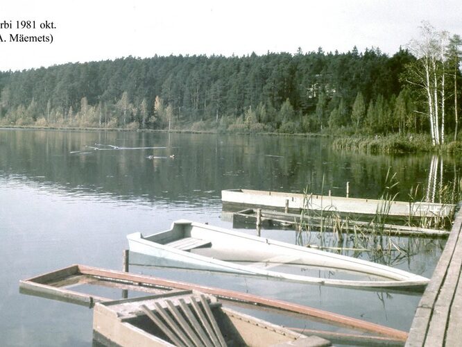 Maakond: Tartumaa Veekogu nimi: Arbi järv Pildistamise aeg: oktoober 1981 Pildistaja: A. Mäemets Pildistamise koht: SE nurgast Asimuut: NW