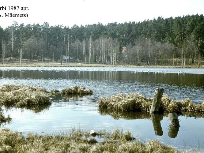 Maakond: Tartumaa Veekogu nimi: Arbi järv Pildistamise aeg: aprill 1987 Pildistaja: A. Mäemets Pildistamise koht: N kaldalt Asimuut: SSE