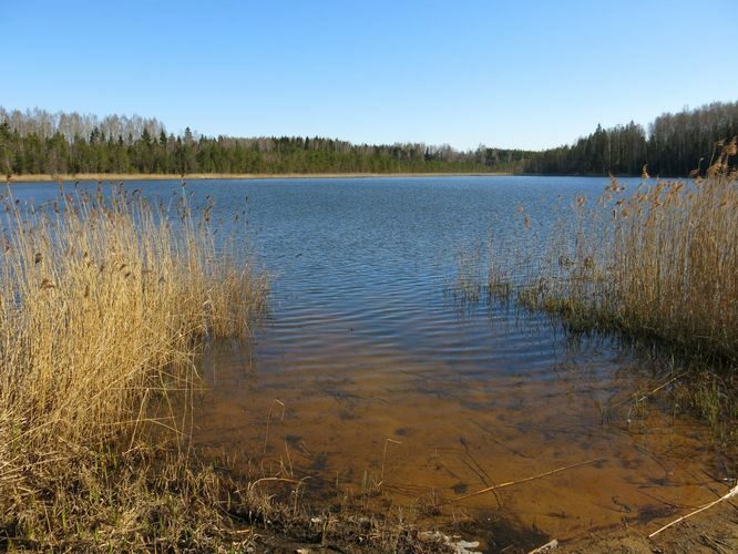 Maakond: Valgamaa Veekogu nimi: Arula Perajärv Pildistamise aeg: 6. mai 2013 Pildistaja: H. Timm Pildistamise koht: teadmata Asimuut: