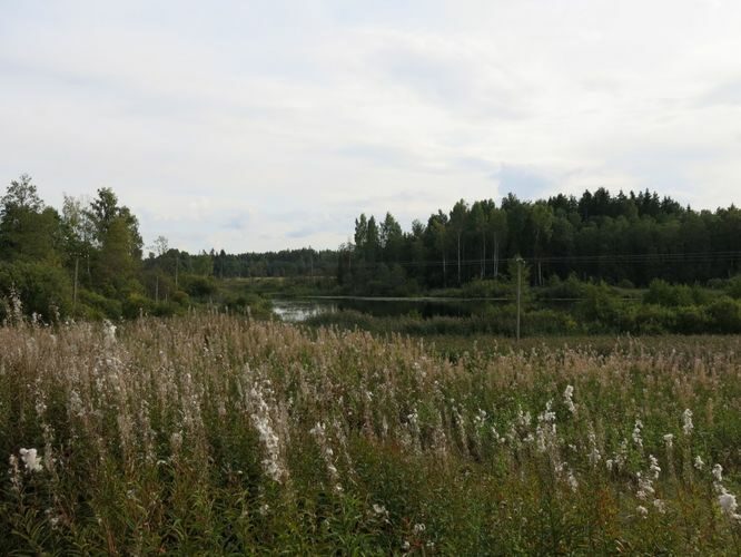 Maakond: Valgamaa Veekogu nimi: Egeri järv Pildistamise aeg: 30. august 2013 Pildistaja: H. Timm Pildistamise koht: teadmata Asimuut: