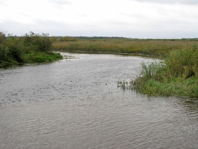 Maakond: Tartumaa Veekogu nimi: Elva jõgi Pildistamise aeg: 16. september 2003 Pildistaja: H. Timm Pildistamise koht: teadmata Asimuut: