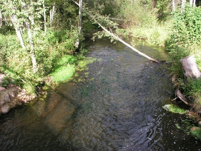 Maakond: Tartumaa Veekogu nimi: Elva jõgi Pildistamise aeg: 2. september 2004 Pildistaja: H. Timm Pildistamise koht: teadmata Asimuut: