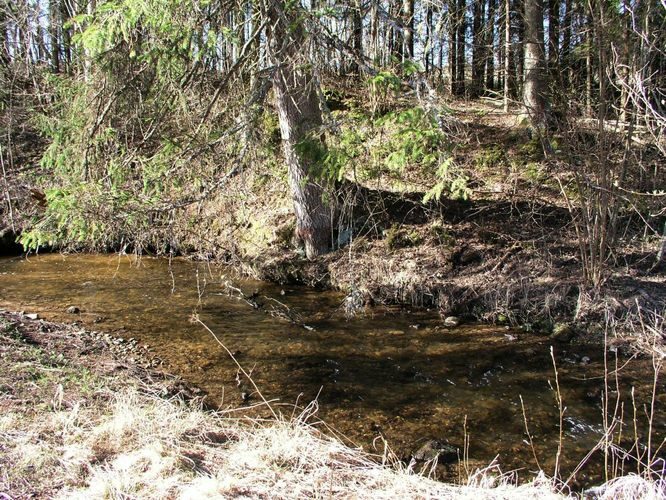 Maakond: Tartumaa Veekogu nimi: Elva jõgi Pildistamise aeg: 19. aprill 2007 Pildistaja: H. Timm Pildistamise koht: Kintsli sillast ülemine sild Asimuut: