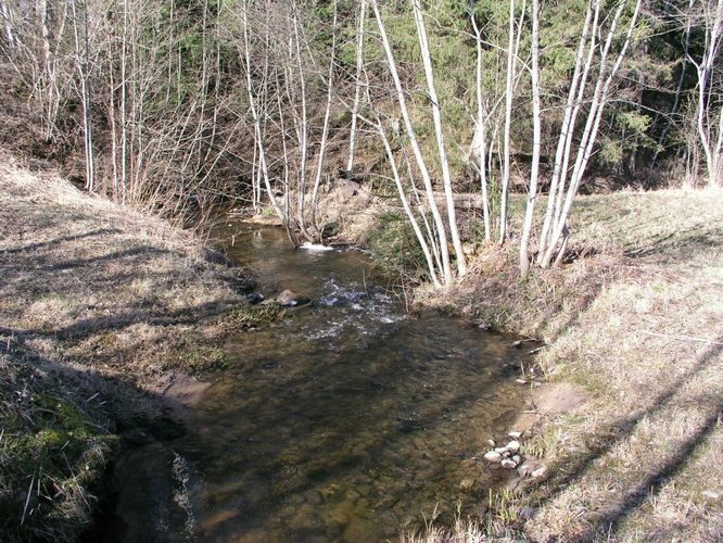 Maakond: Tartumaa Veekogu nimi: Elva jõgi Pildistamise aeg: 19. aprill 2007 Pildistaja: H. Timm Pildistamise koht: Kintsli sillast ülemine sild Asimuut: