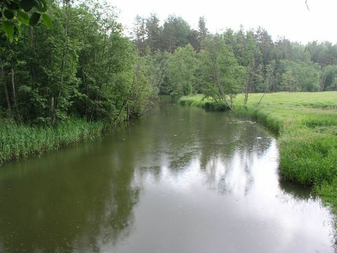 Maakond: Tartumaa Veekogu nimi: Elva jõgi Pildistamise aeg: 24. juuni 2007 Pildistaja: H. Timm Pildistamise koht: Vapramäe Hundikuristik Asimuut: