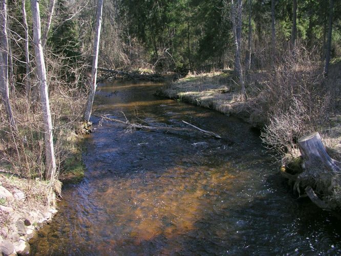 Maakond: Tartumaa Veekogu nimi: Elva jõgi Pildistamise aeg: 25. september 2007 Pildistaja: H. Timm Pildistamise koht: Palu Asimuut: