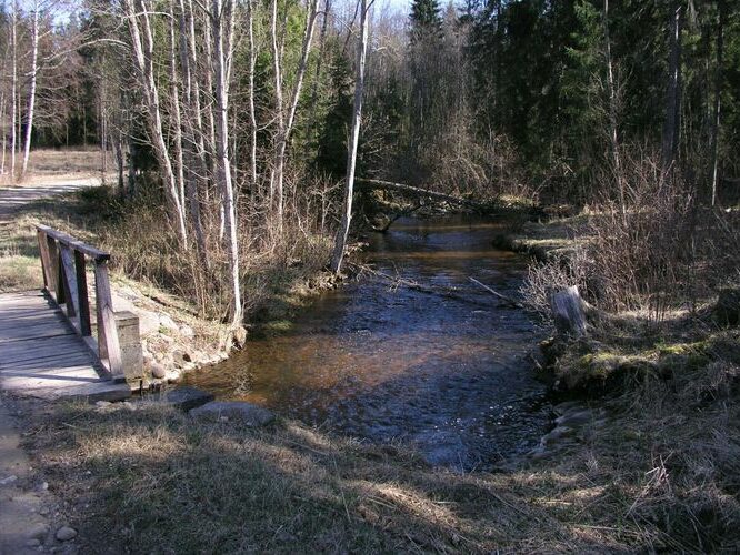 Maakond: Tartumaa Veekogu nimi: Elva jõgi Pildistamise aeg: 25. september 2007 Pildistaja: H. Timm Pildistamise koht: Palu Asimuut: