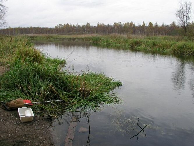 Maakond: Tartumaa Veekogu nimi: Elva jõgi Pildistamise aeg: 16. oktoober 2007 Pildistaja: H. Timm Pildistamise koht: Viljandi - Tartu mnt. Asimuut: