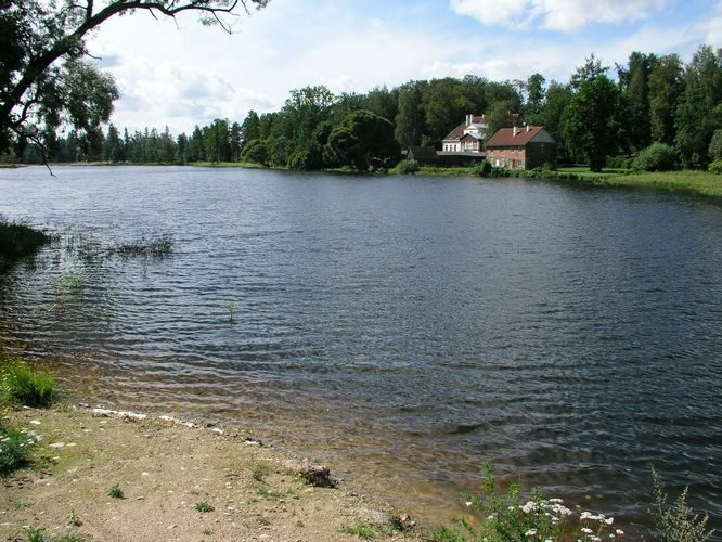 Maakond: Valgamaa Veekogu nimi: Elva jõgi Pildistamise aeg: august 2008 Pildistaja: H. Timm Pildistamise koht: Hellenurme paisjärv Asimuut: