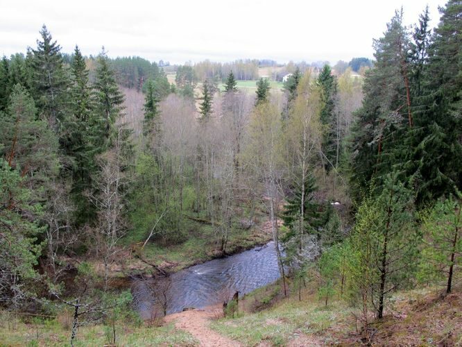 Maakond: Tartumaa Veekogu nimi: Elva jõgi Pildistamise aeg: 4. mai 2010 Pildistaja: H. Timm Pildistamise koht: Vitipalu Asimuut: