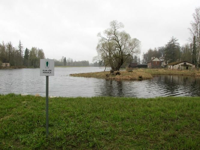 Maakond: Tartumaa Veekogu nimi: Elva jõgi Pildistamise aeg: 4. mai 2010 Pildistaja: H. Timm Pildistamise koht: Hellenurme paisjärv Asimuut: